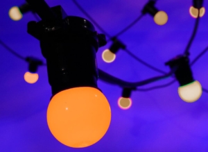 Oranje lichtsnoer huren Koningsnacht